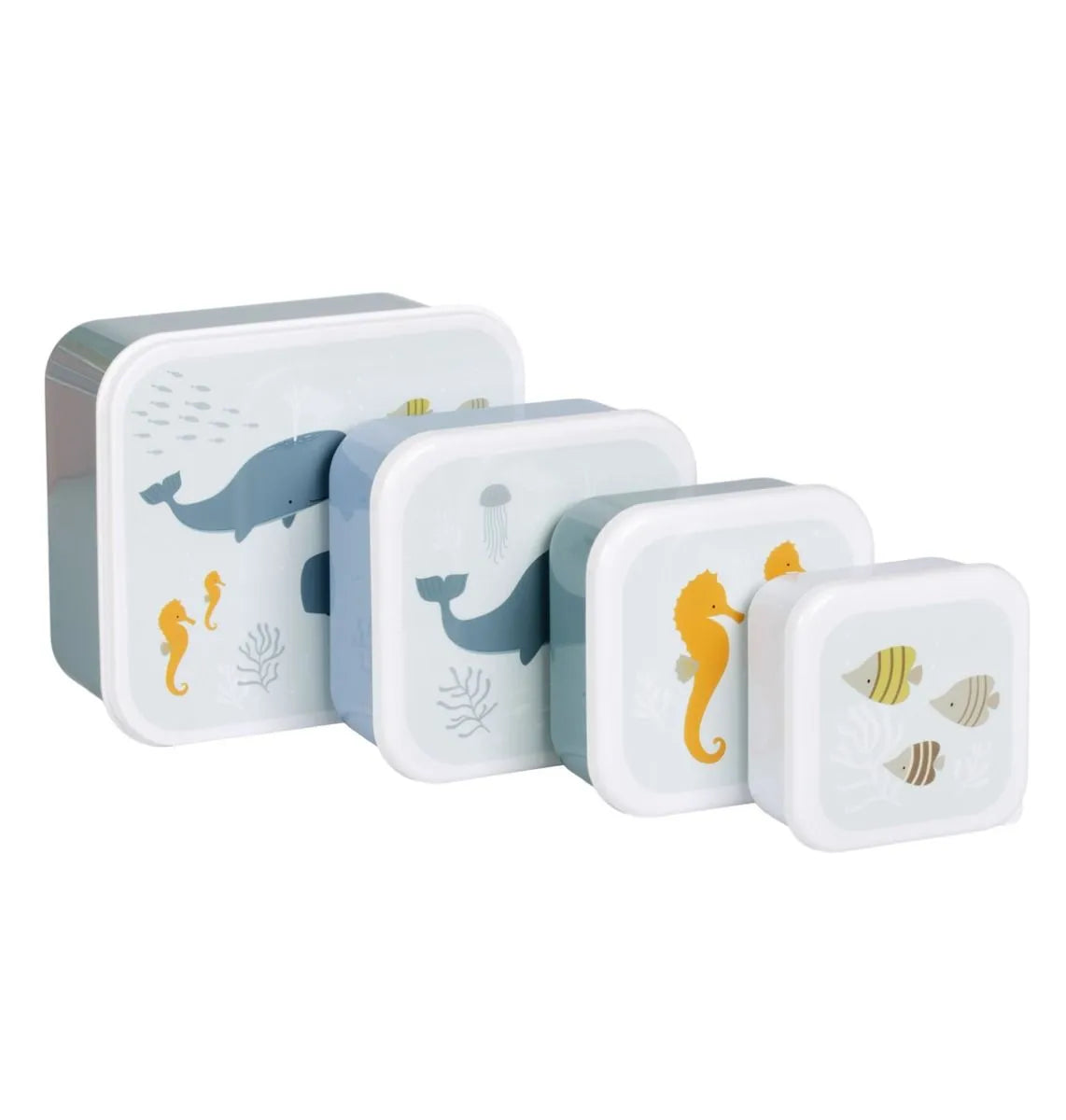 Lunch and Snack Box Set of 4 | Ocean