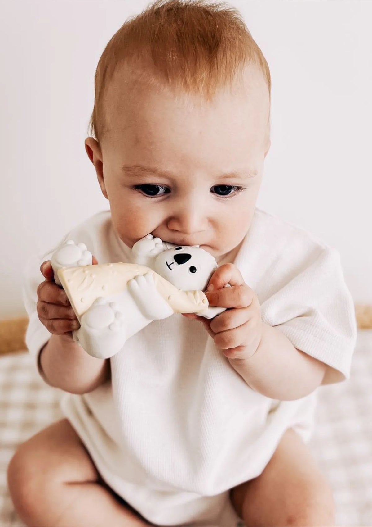Banks the Koala - Teether, Bath Toy & Rattle Scrunch
