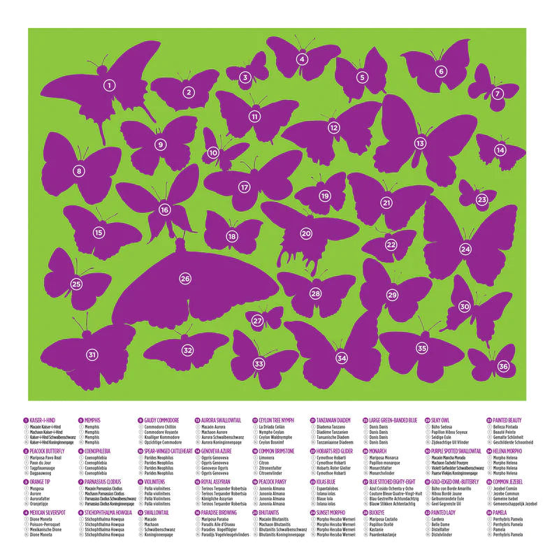 Crocodile Creek | 36 Animal Puzzle 100 pc - Butterfly World
