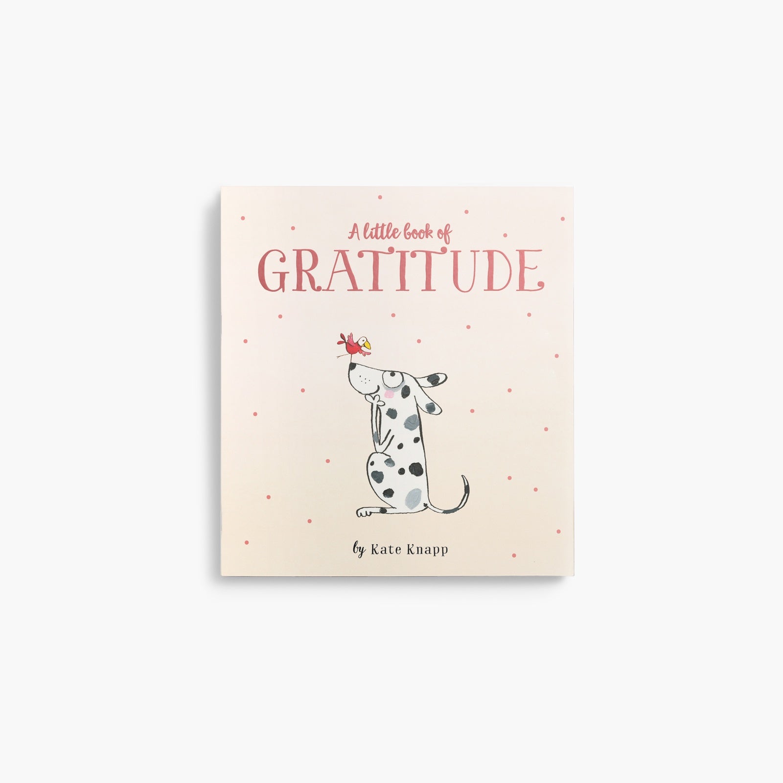 Twigseeds Inspirational Quote Book - A Little Book of Gratitude
