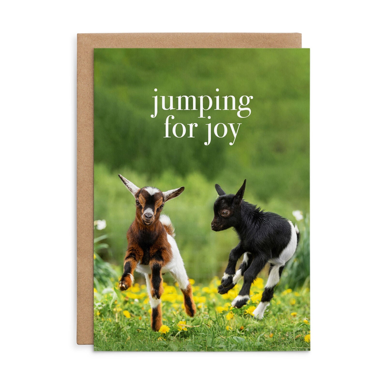 Jumping for Joy - Baby Greeting Card