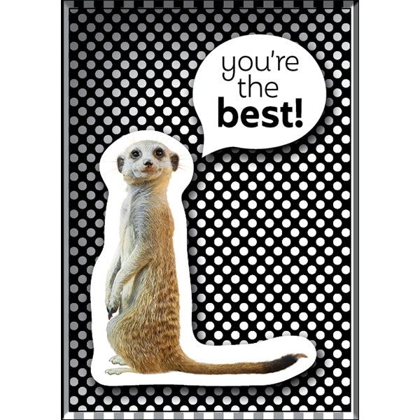 Affirmations | Tiny Treasures Box Messages