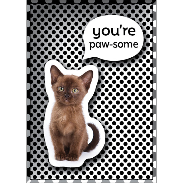 Affirmations | Tiny Treasures Box Messages