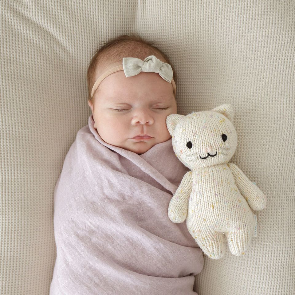 Cuddle + Kind | Baby Kitten