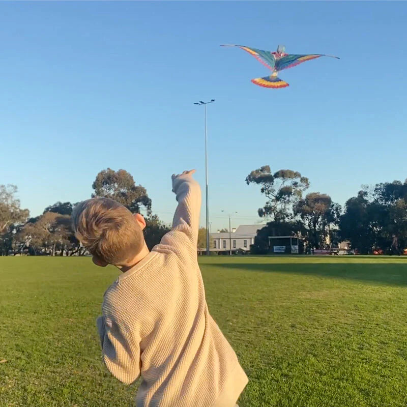 Tiger Tribe | Tim - The Original Flying Bird