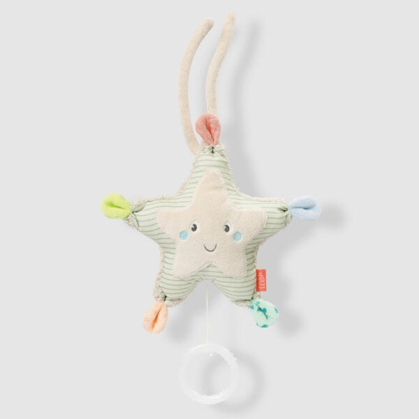 Mini Musical Starfish