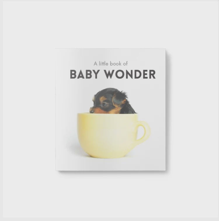 A little book of Baby Wonder