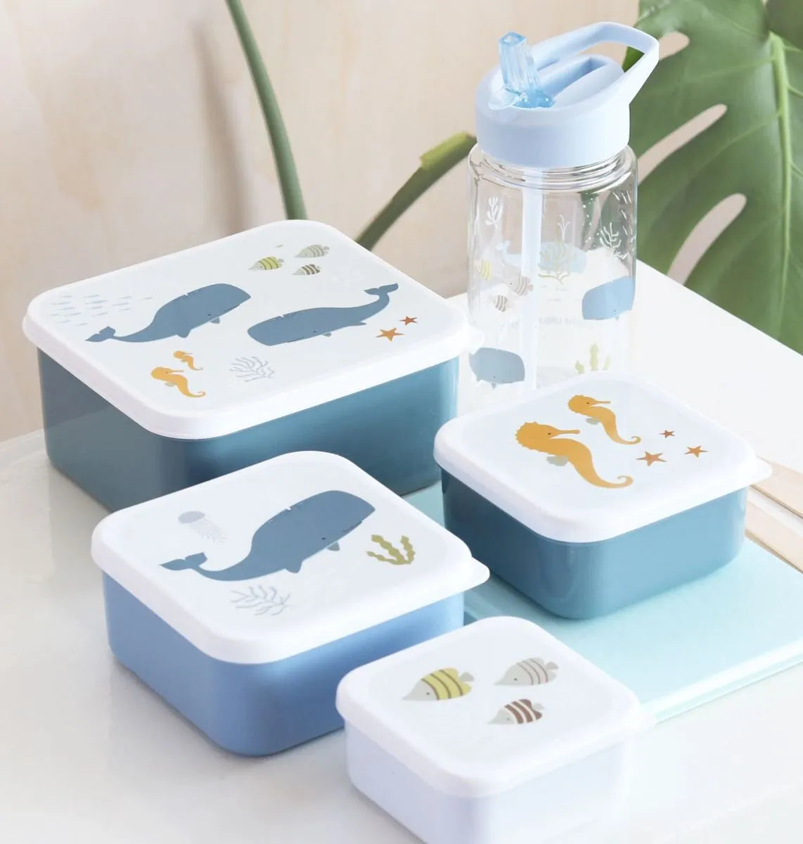 Lunch and Snack Box Set of 4 | Ocean