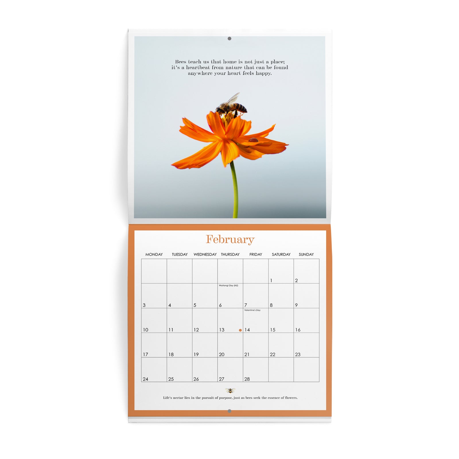 Affirmations | Bee 2025 Wall Calendar