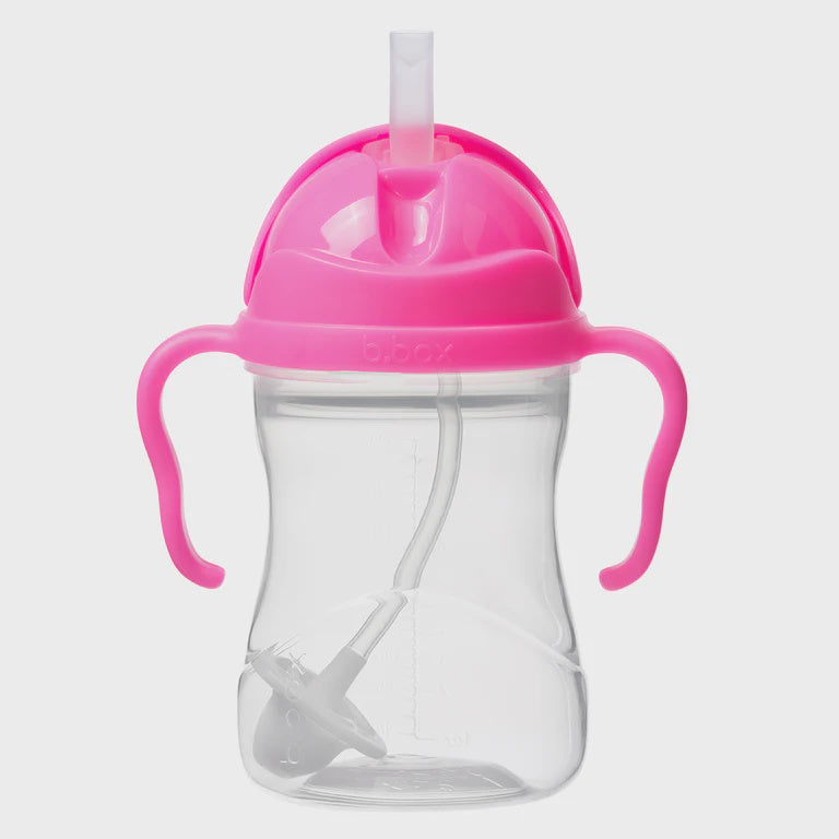 Sippy Cup - Pink Pomegranate