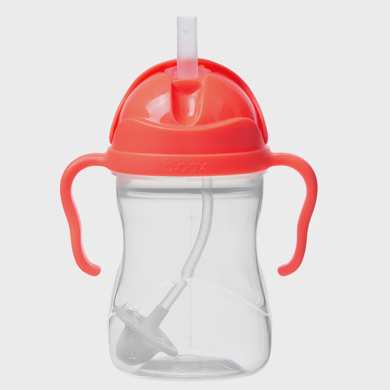 Sippy Cup - Watermelon