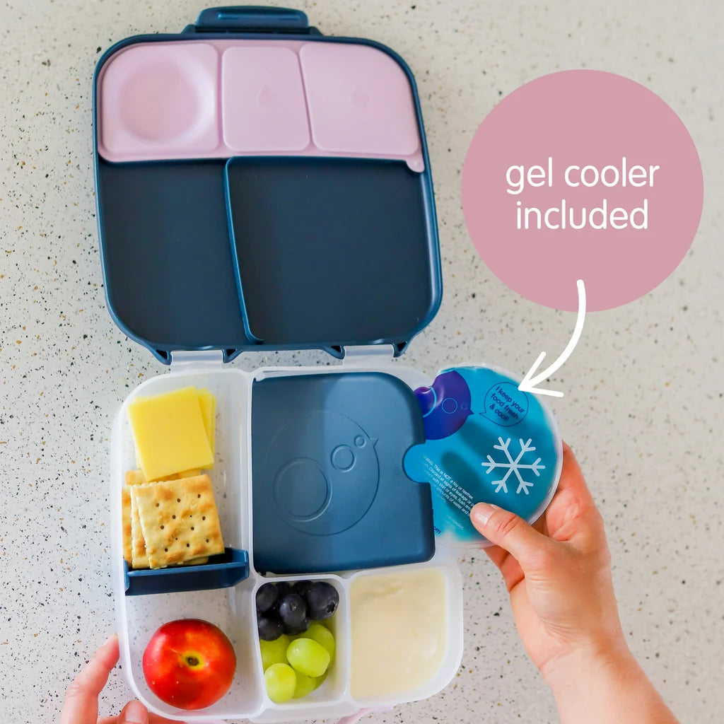 Lunchbox - 8 cup - Ocean Breeze