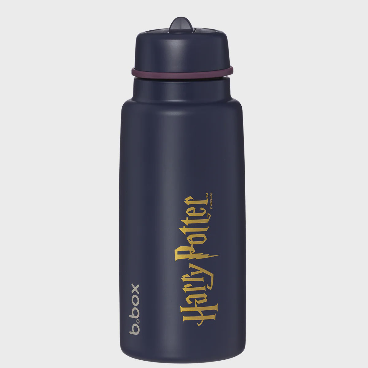 1L Insulated Flip Top Bottle - Harry Potter