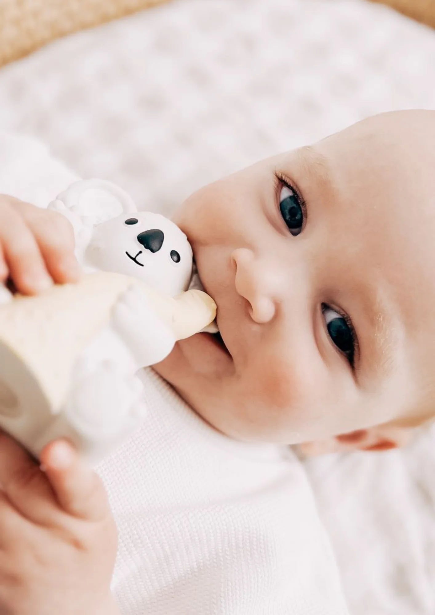 Banks the Koala - Teether, Bath Toy & Rattle Scrunch