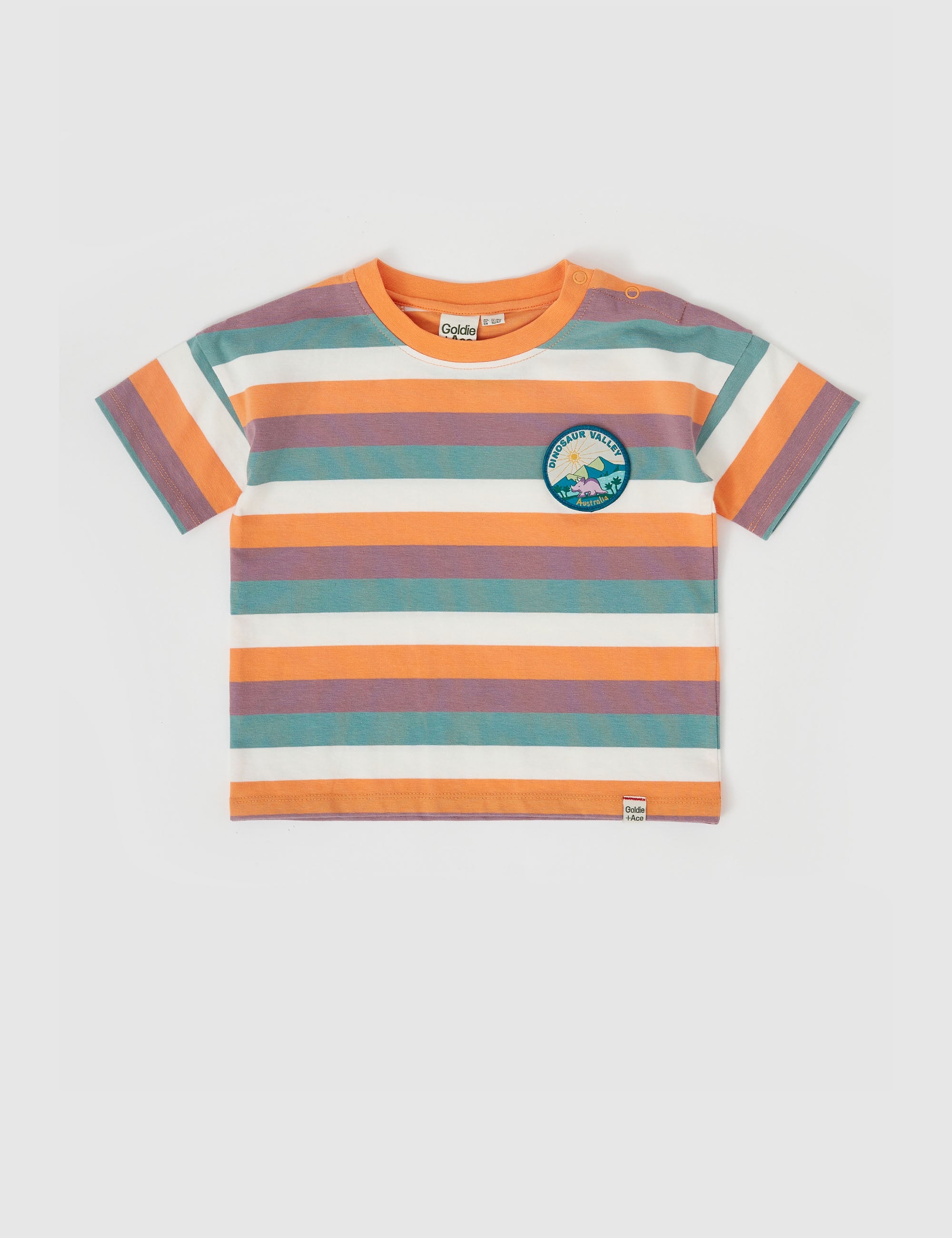 DINO VALLEY NOSTALGIA STRIPE T-SHIRT