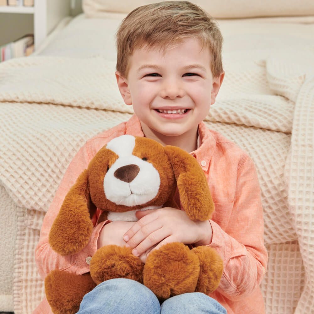 DOG: SPANIEL KIAN 23CM