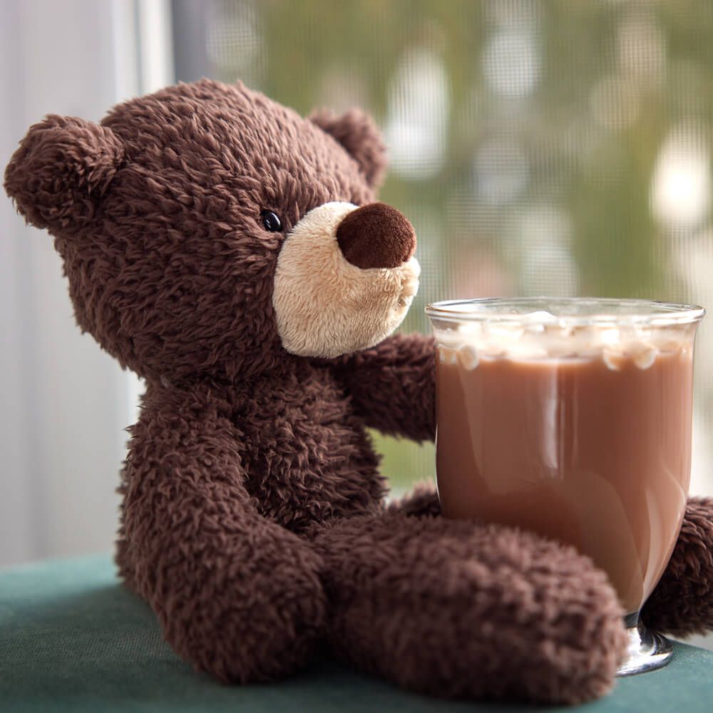 Bear: Fuzzy Chocolate