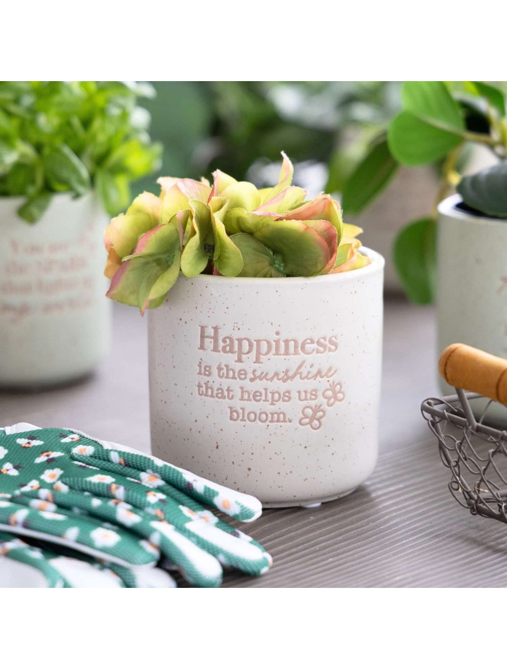 Happiness Positive Pot