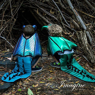 REVERSIBLE DRAGON WINGS