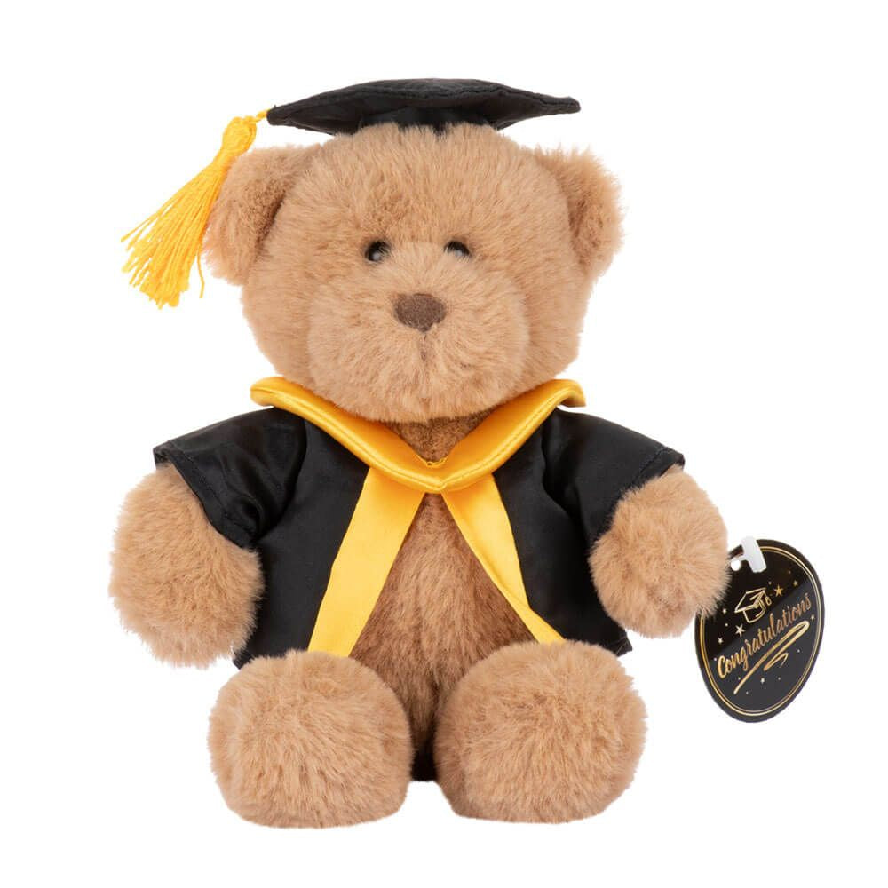 Graduation Bear 20 cm