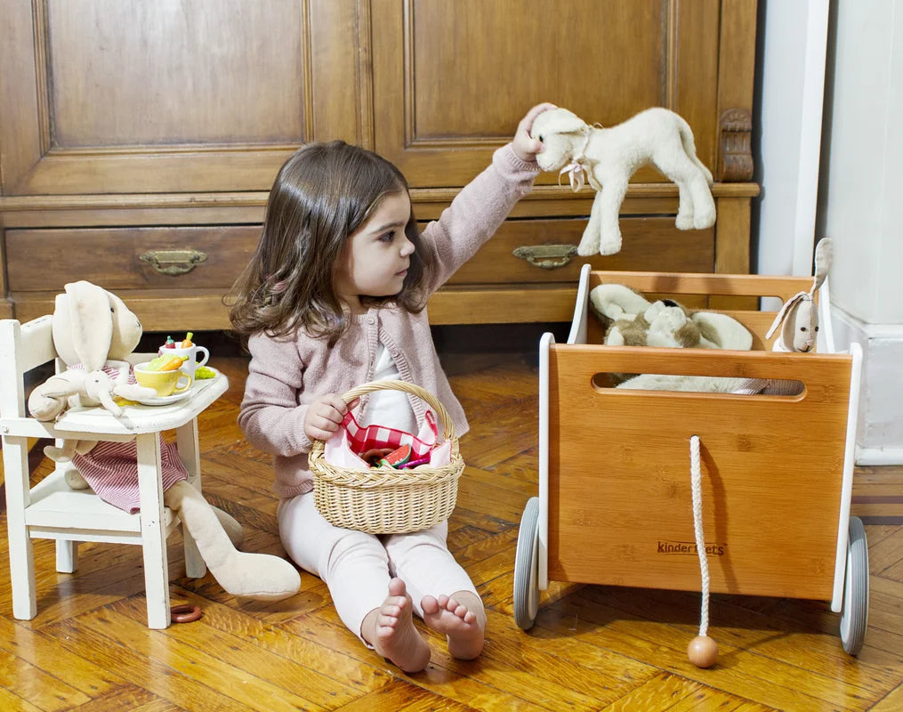 Kinderfeets Toy Box Walker Angelfish Dragonfly Baby and Children s Boutique