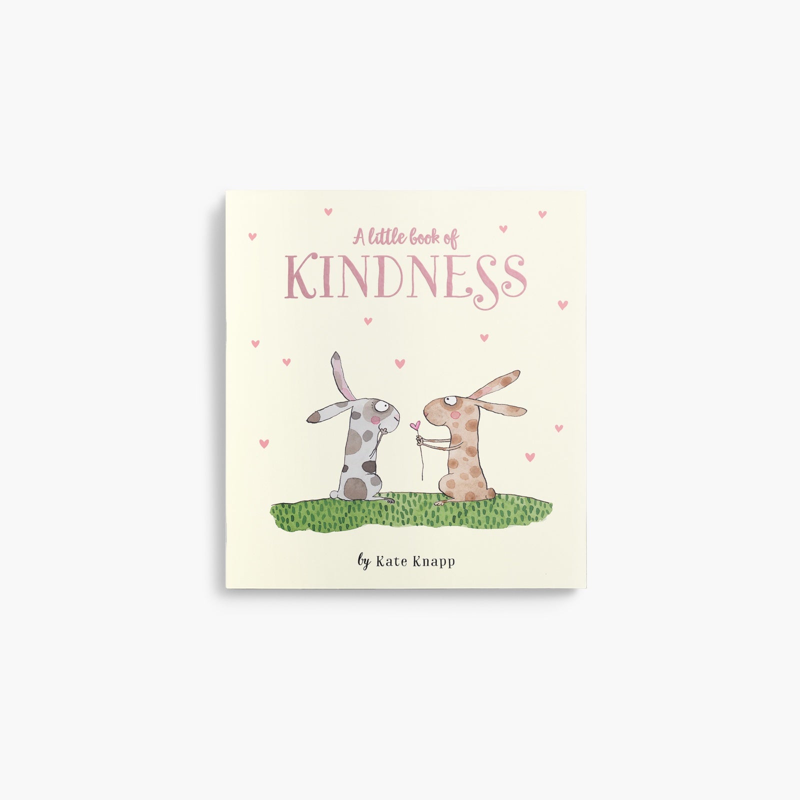 Twigseeds Inspirational Quote Book - A Little Book of Kindness