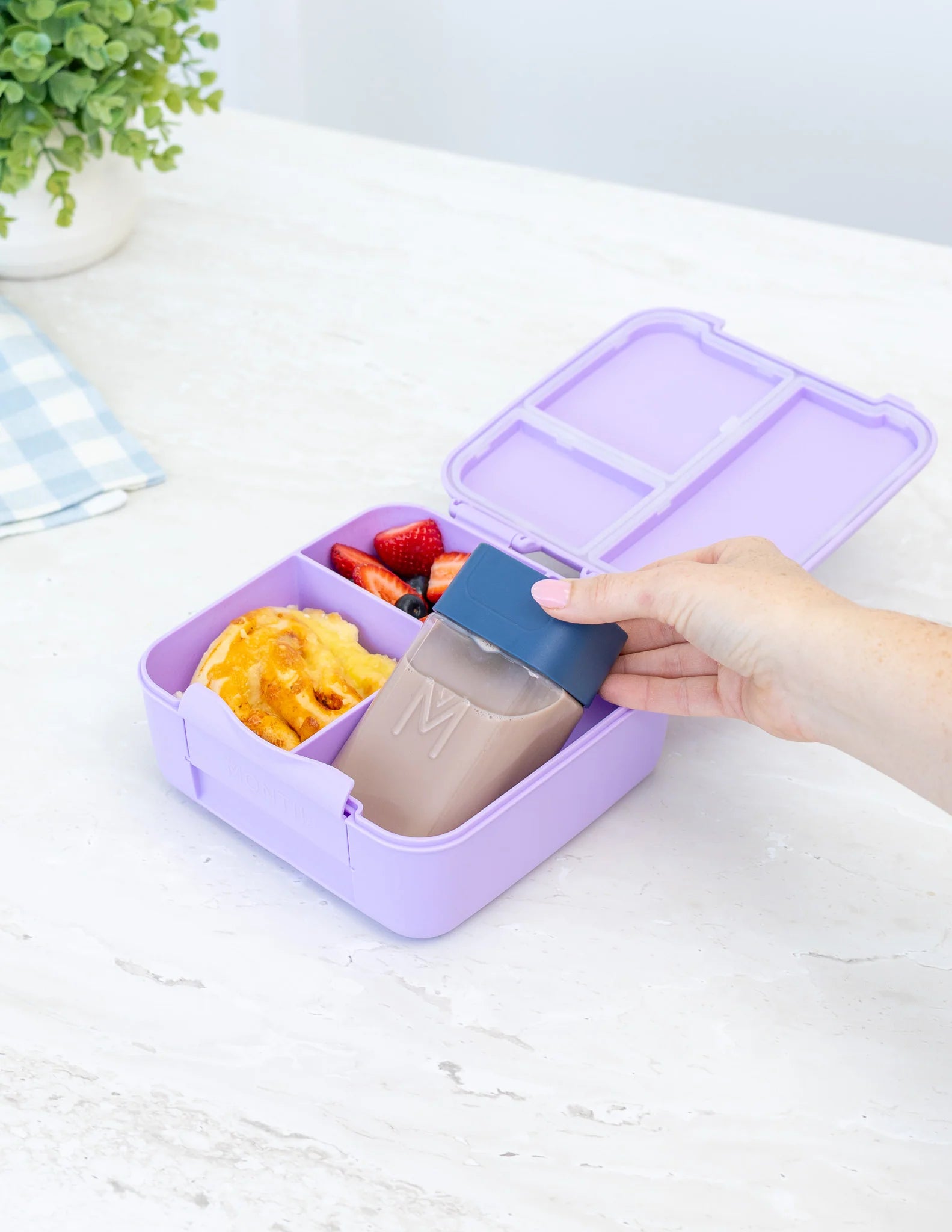 Bento Bottle - 250ml | MontiiCo - In 2 x New Colours