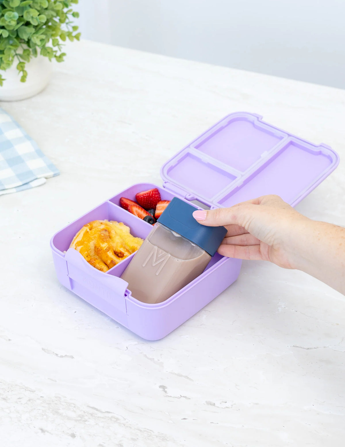 Bento Bottle - 250ml | MontiiCo - In 2 x New Colours