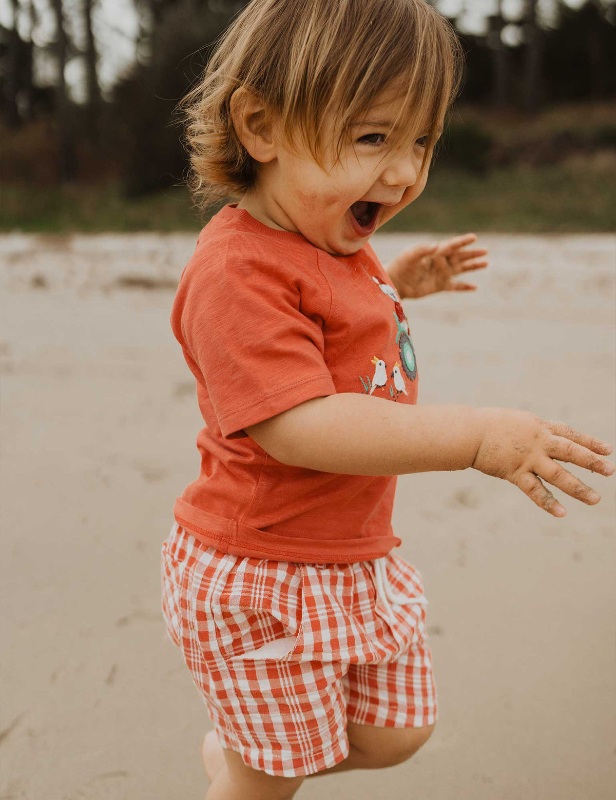 Gingham Shorts - Vintage Red Gingham