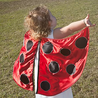 Satin Wings - 2 styles