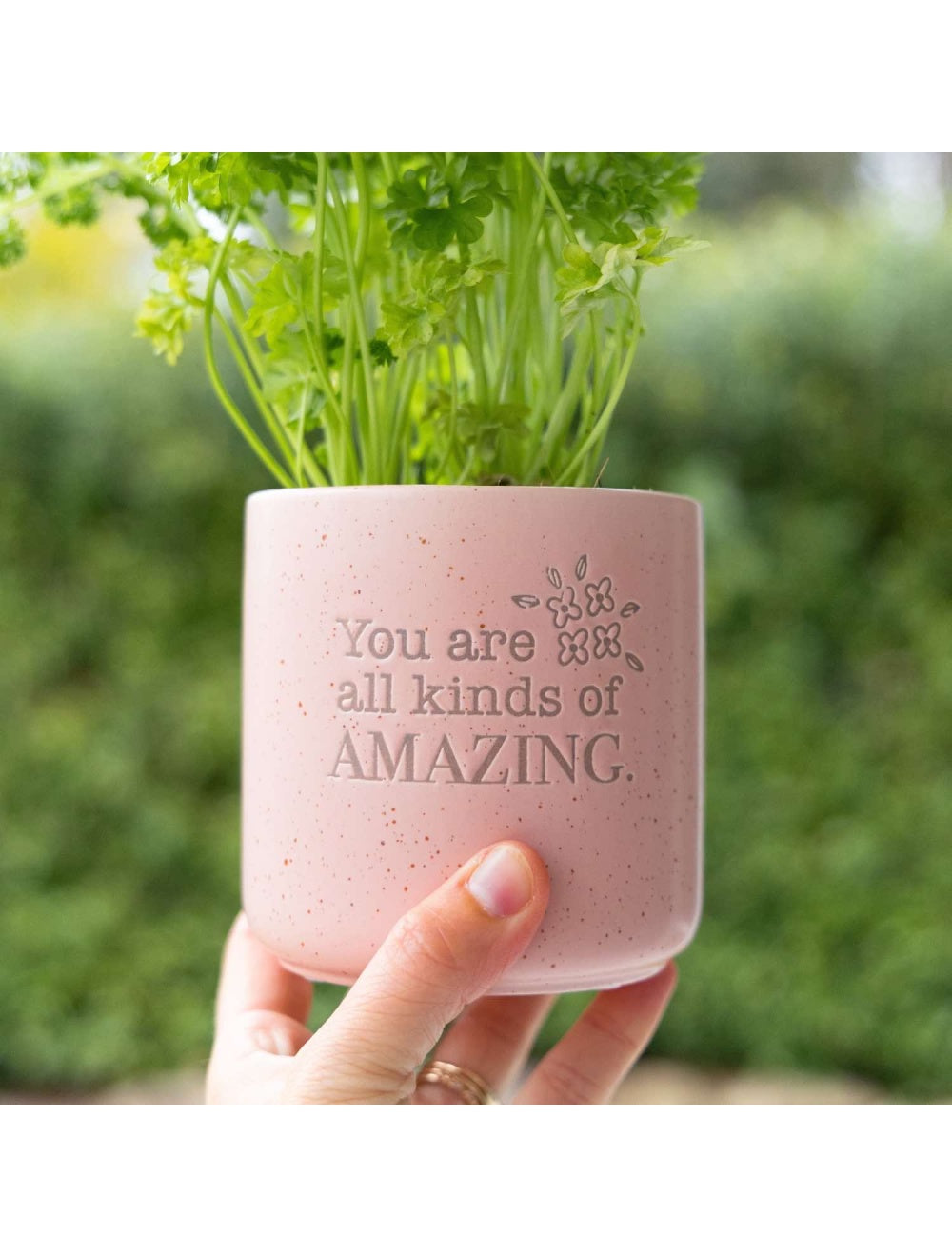 Amazing Positive Pot