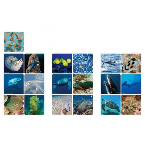 WWF - Memory Matching Game - Marine