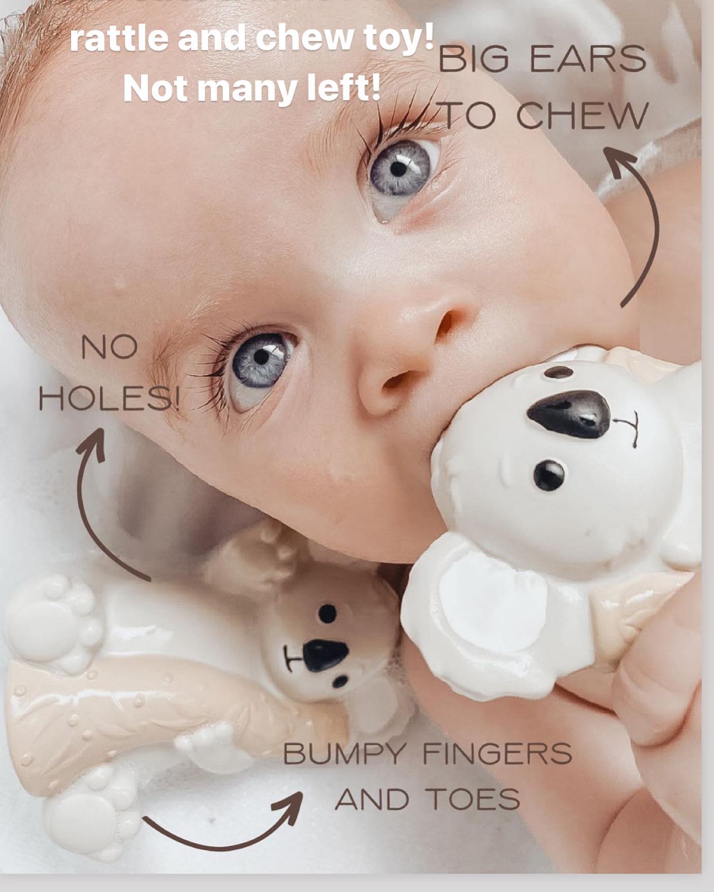 Banks the Koala - Teether & Bath Toy (Ring)