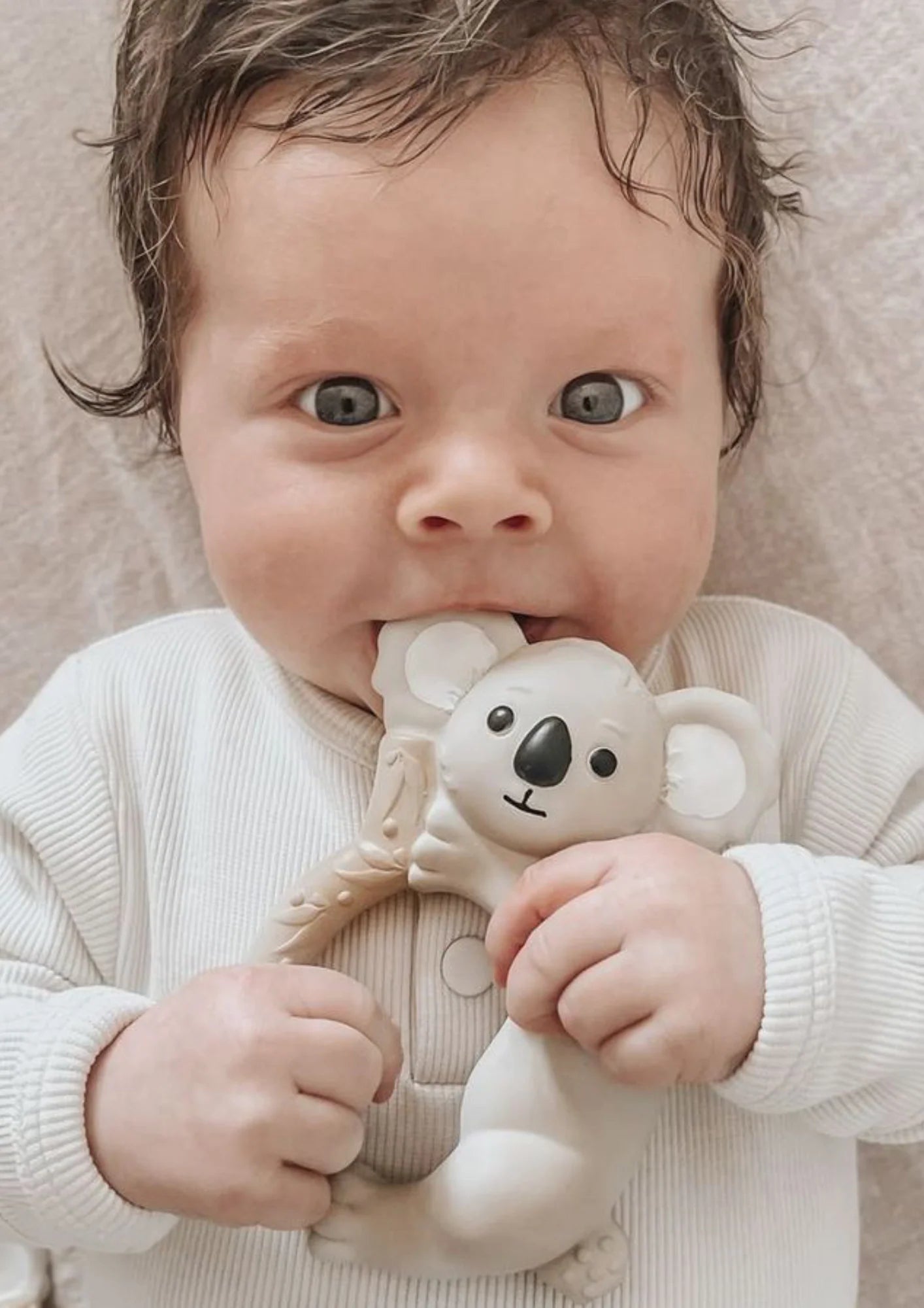 Banks the Koala - Teether & Bath Toy (Ring)