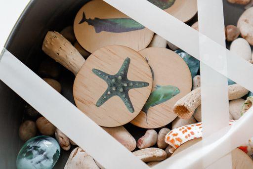 Activity Sea Life Pack