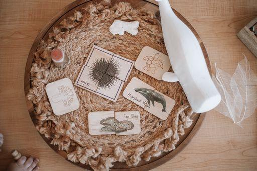 Activity Sea Life Pack