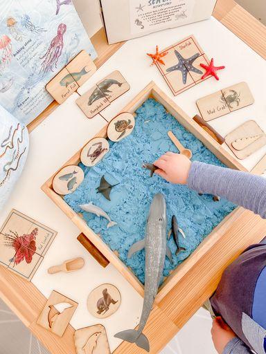 Activity Sea Life Pack