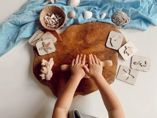 Activity Sea Life Pack