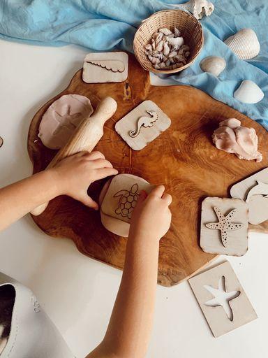 Activity Sea Life Pack