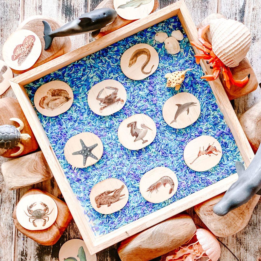 Activity Sea Life Pack