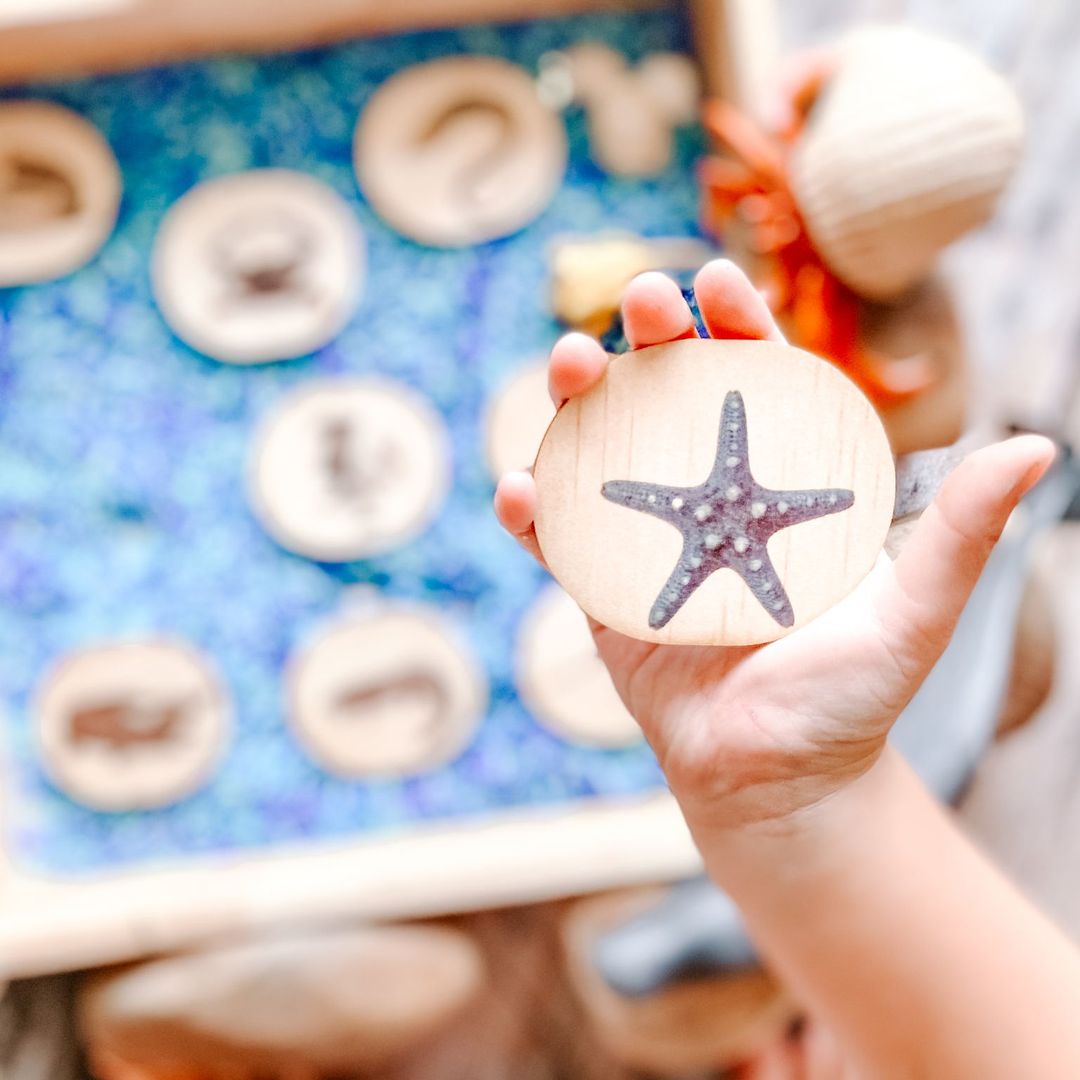 Activity Sea Life Pack