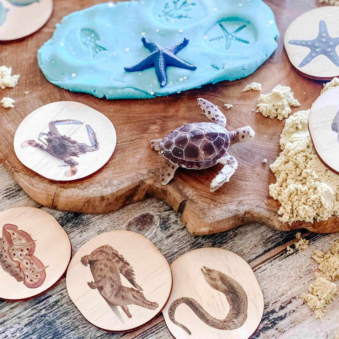 Activity Sea Life Pack