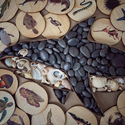 Activity Sea Life Pack