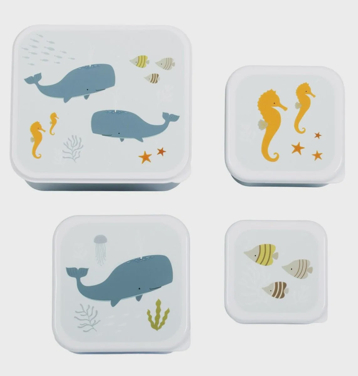 Lunch and Snack Box Set of 4 | Ocean