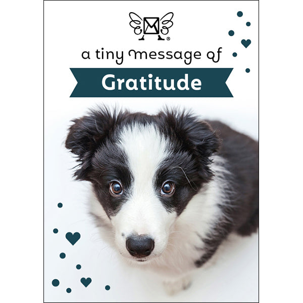 Affirmations | Tiny Treasures Box Messages