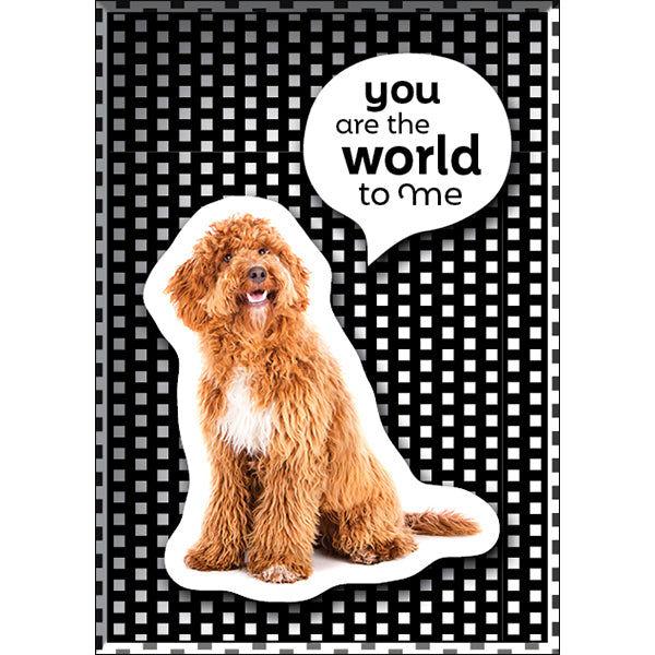 Affirmations | Tiny Treasures Box Messages