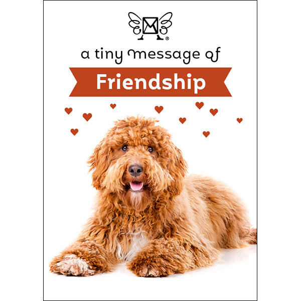 Affirmations | Tiny Treasures Box Messages