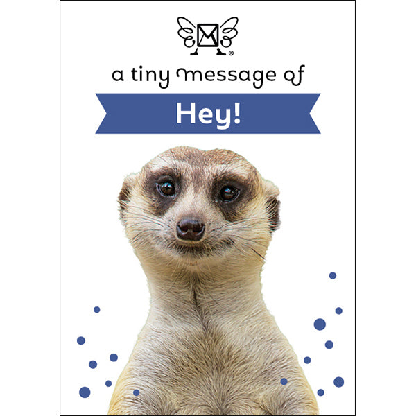 Affirmations | Tiny Treasures Box Messages