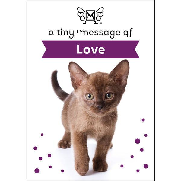 Affirmations | Tiny Treasures Box Messages