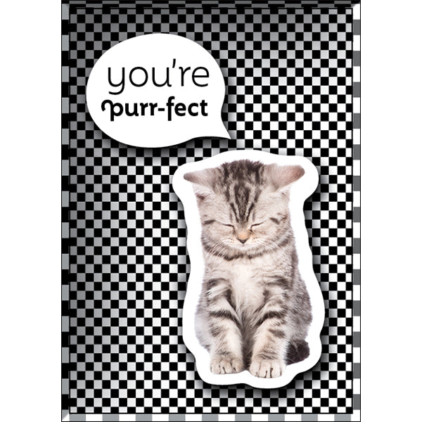 Affirmations | Tiny Treasures Box Messages